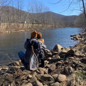 Meet your Posher, Damone